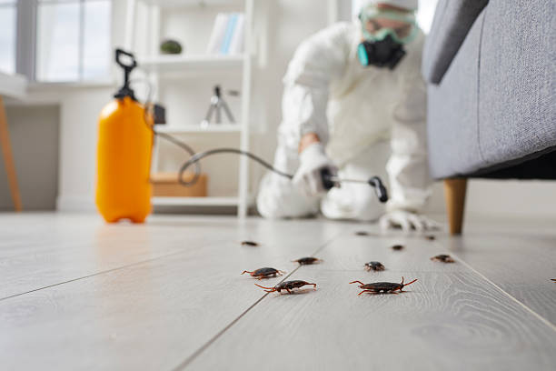Commercial Kitchen Cockroach Control in Watsessing